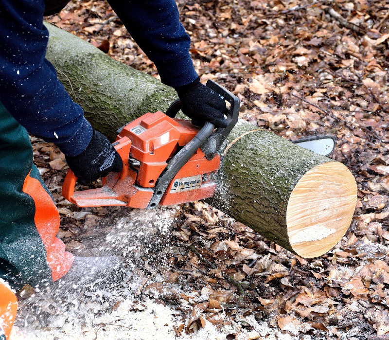 Chainsaw Training Courses - Chainsaw Maintenance and Crosscutting