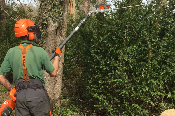 Seltc Powered Pole Pruner Training Courses Sussex and Kent
