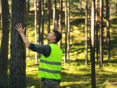 Seltc Basic Tree Inspection Course Sussex and Kent