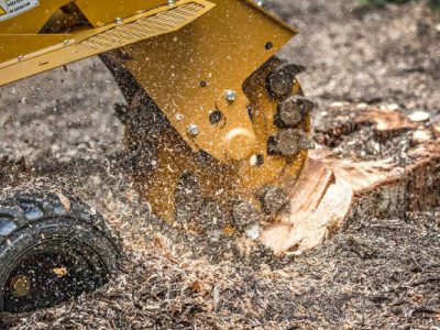 Seltc Stump Grinding Training Courses Sussex and Kent